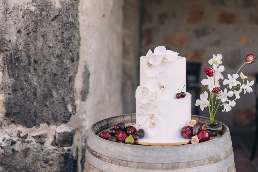 Tuscan vineyard cake design with colors of vine
